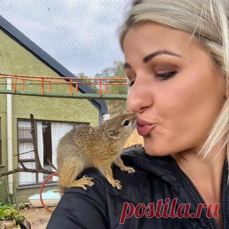 Девушка выходила найденного в траве бельчонка и выпустила на волю: через несколько месяцев белка вернулась в дом уже со своим потомством (удивительная история спасения) — блог туриста ni-oca на Туристер.Ру