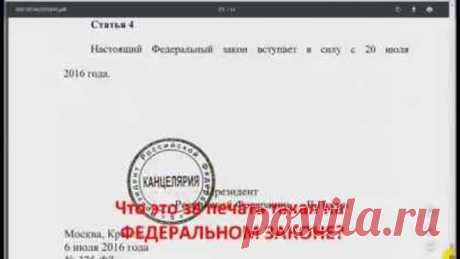 Как я проверил подписывает ли законы президент РФ?