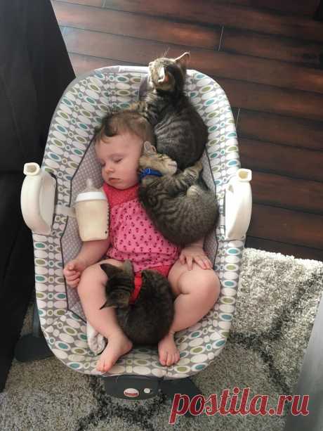 Интересные фотографии, которые говорят больше чем слова!