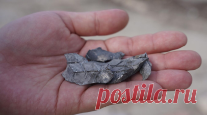 Пять человек пострадали при сбросе боеприпаса с беспилотника ВСУ в Донецке. Пять человек получили ранения в результате сброса боеприпаса с беспилотника Вооружённых сил Украины в Кировском районе Донецка. Читать далее