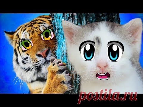 КОШКА МУРКА и ТИГРЫ! LOL SURPRISE А ну-ка Давай-ка в КОРОЛЕВСТВЕ ТИГРОВ! МУЛЬТИК ИГРУШКИ как ПИТОМЦЫ