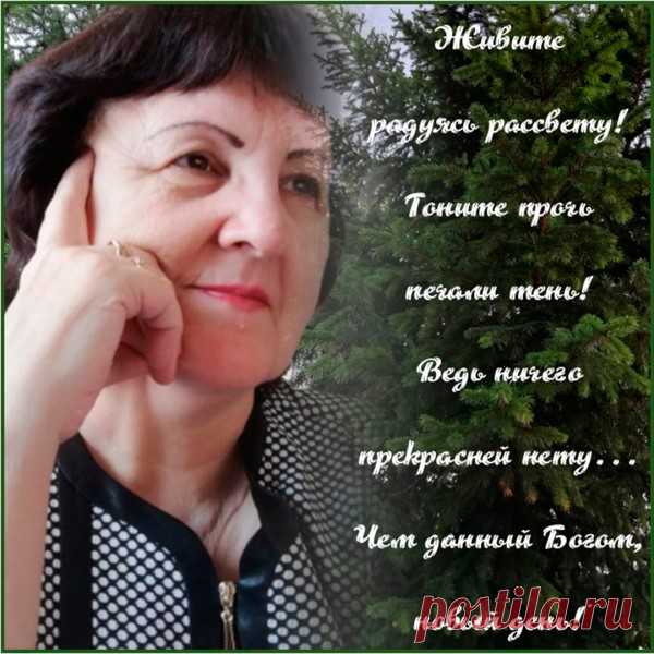 МЛМ лента