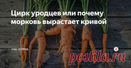 Рассказываю почему это происходит, а главное как от этого избавиться