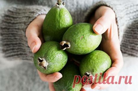 Проблемы со щитовидкой, выпадение волос, снижение зрения, сухая и шелушащаяся кожа – фейхоа вам в помощь
Родина дерева Асса sellowiana — это Парагвай, Уругвай, Бразилия и Аргентина. Известный...
Читай дальше на сайте. Жми подробнее ➡