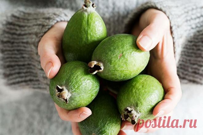 Проблемы со щитовидкой, выпадение волос, снижение зрения, сухая и шелушащаяся кожа – фейхоа вам в помощь
Родина дерева Асса sellowiana — это Парагвай, Уругвай, Бразилия и Аргентина. Известный...
Читай дальше на сайте. Жми подробнее ➡