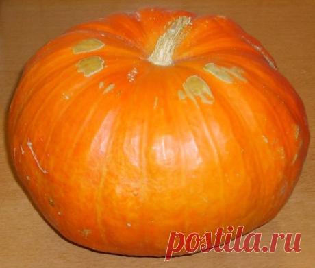 Тыква: посадка и уход.
