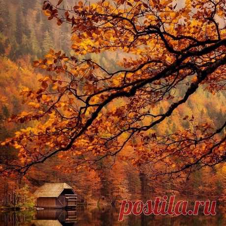 Осеннее умиротворение ...