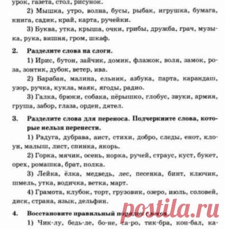 Учитель начальной школы