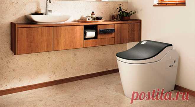 Унитаз с вертикальным взлётом, или Сантехника-2019 | Блоги о даче и огороде, рецептах, красоте и правильном питании, рыбалке, ремонте и интерьере