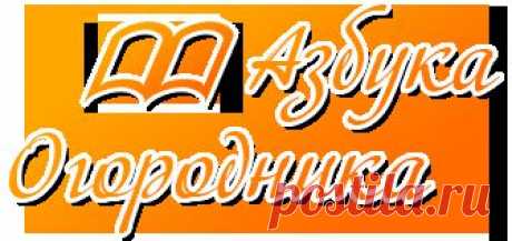 Условия выращивания клубникиАзбука огородника