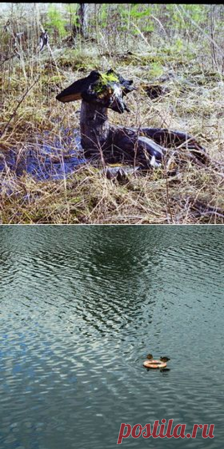 Фотограф Илья Таращев - Фото и фотограф на Расфокусе.