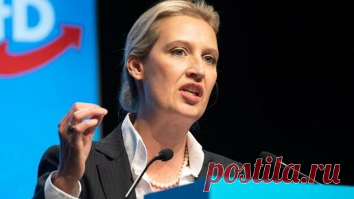 Историческое признание немецкого политика по ситуации вокруг Украины. Холодные ошибки стран НАТО