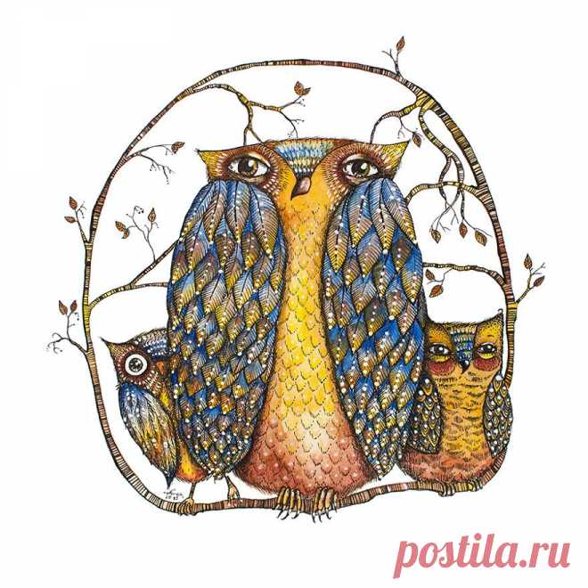 лента друзей morli