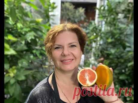 Редкая экзотика в домашних условиях 🏡🍊🍋 - YouTube