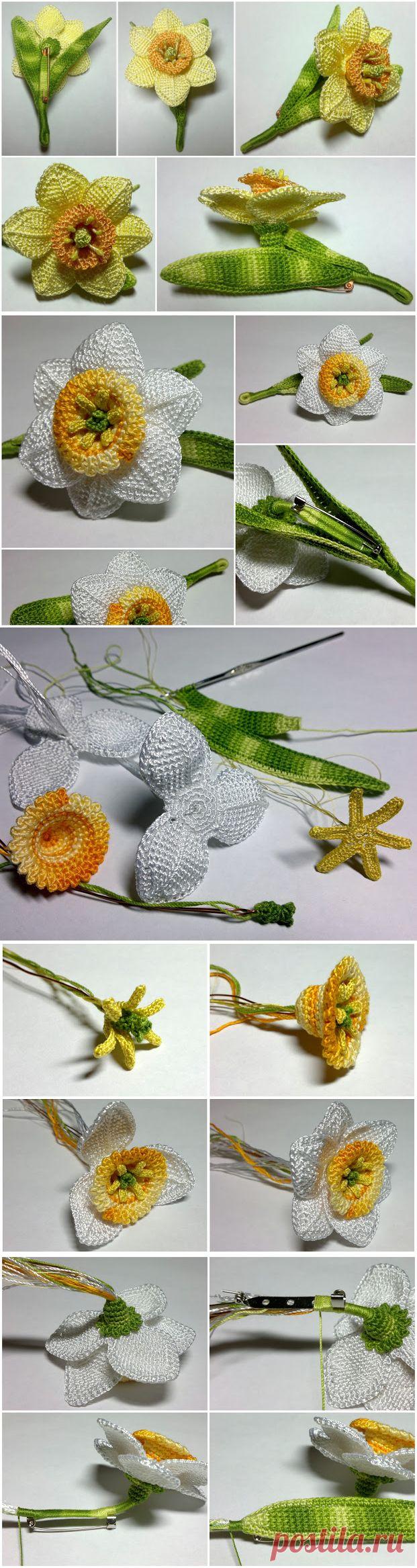 Нарцисс крючком - описание