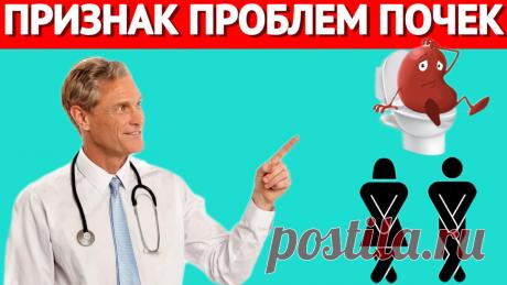 Врачи говорят, что это самый первый признак проблем с почками, который вас удивит | Игорь Ботоговский | Дзен