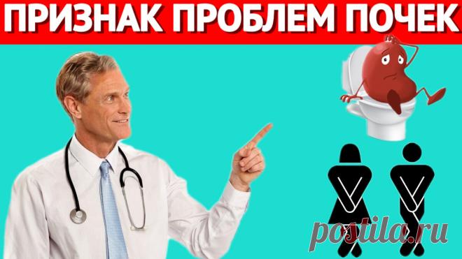 Врачи говорят, что это самый первый признак проблем с почками, который вас удивит | Игорь Ботоговский | Дзен