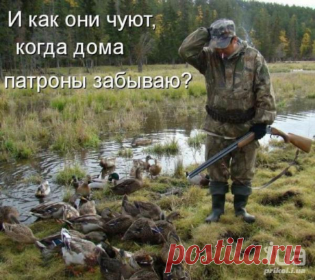 5vdscluvFkk.jpg (600×534)