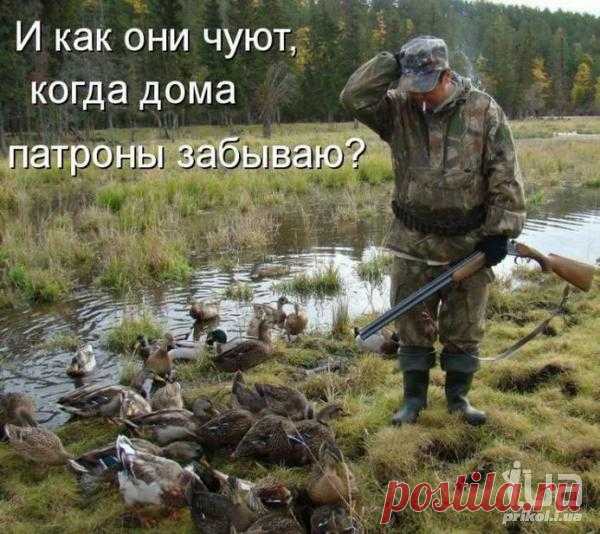 5vdscluvFkk.jpg (600×534)