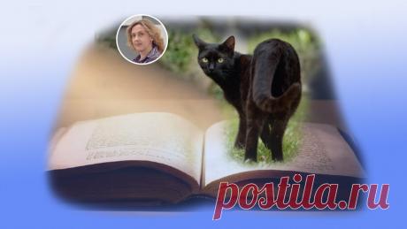 Мистика или реальность: почему сбываются приметы | Ольга Зимихина | Яндекс Дзен