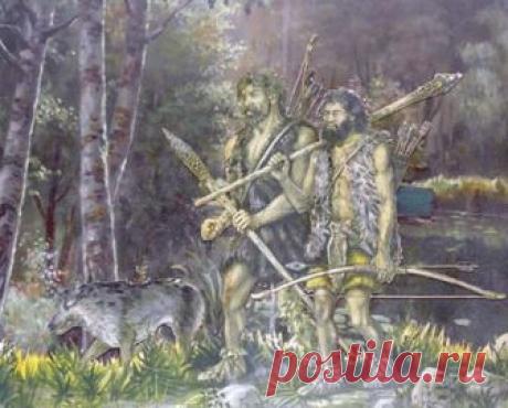 Как древний человек рыбу ловил
Ловить рыбу в Поволжье люди научились в позднем палеолите, а в мезолите и в неолите это занятие стало их привычным промыслом. В те далекие эпохи в наших краях обитали местные оседлые племена рыболов…