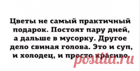 Кукухня - Публикации