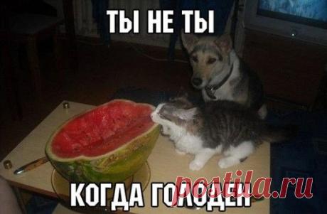 Одноклассники