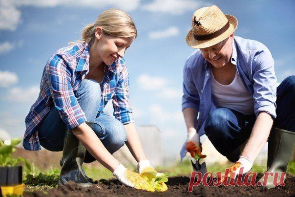 Ошибки при посадке растений!