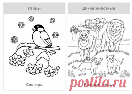 Раскраски мира животных - скачать или распечатать