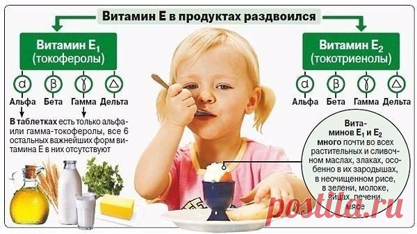 Витамин Е для организма.