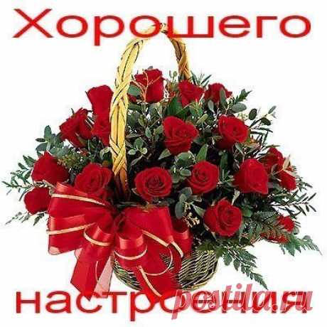 Поздравления, Пожелания, Тосты, Стихи » Хорошего настроения