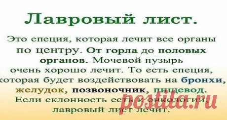 ЛАВРОВЫЙ ЛИСТ В ПОМОЩЬ! ЕСЛИ ЧЕСТНО, Я И НЕ ДУМАЛА, ЧТО РЕЗУЛЬТАТ НАСТОЛЬКО МЕНЯ ПОРАЗИТ!!! ТЕПЕРЬ СОВЕТУЮ ВСЕМ! Полезные советы.   &gt;&gt;&gt;&gt;&gt;&gt;&gt;