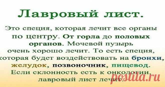 ЛАВРОВЫЙ ЛИСТ В ПОМОЩЬ! ЕСЛИ ЧЕСТНО, Я И НЕ ДУМАЛА, ЧТО РЕЗУЛЬТАТ НАСТОЛЬКО МЕНЯ ПОРАЗИТ!!! ТЕПЕРЬ СОВЕТУЮ ВСЕМ! Полезные советы.   >>>>>>>