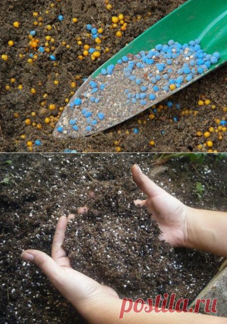 Калийные удобрения: какие не стоит использовать на даче | Дачный участок