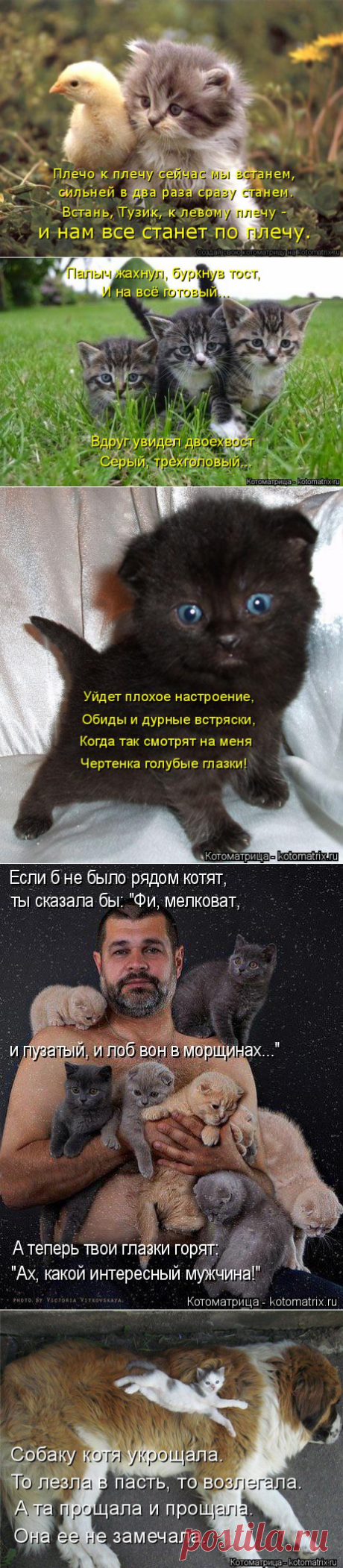 :))