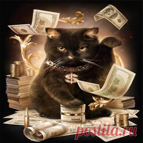 Интересные новости