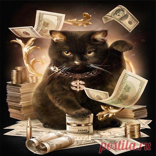 Интересные новости