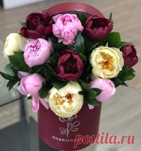 Прекрасного Дня, успеха, любви!
С ДОБРЫМ УТРОМ! :)