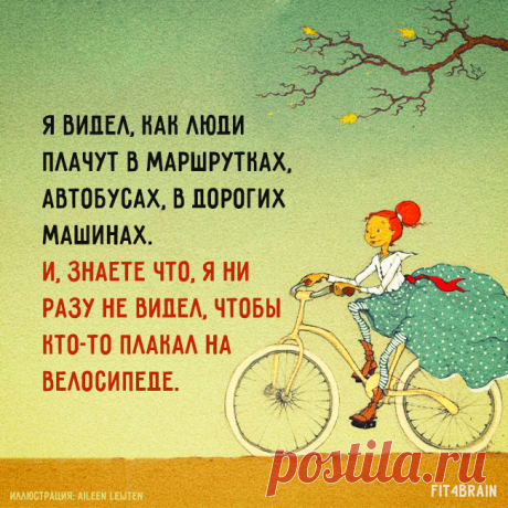 правда жизни.