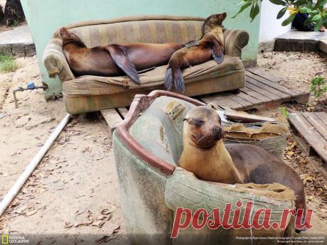 Пляж с удобствами...