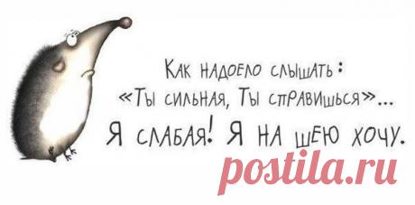 Мода пышных форм - Одежда больших размеров