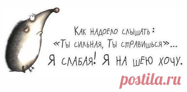 Мода пышных форм - Одежда больших размеров