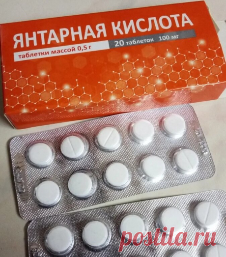 Что делать, если розы почернели и погибли. Ставим на пень и выхаживаем | Цветочная няша | Яндекс Дзен