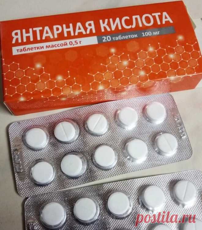 Что делать, если розы почернели и погибли. Ставим на пень и выхаживаем | Цветочная няша | Яндекс Дзен