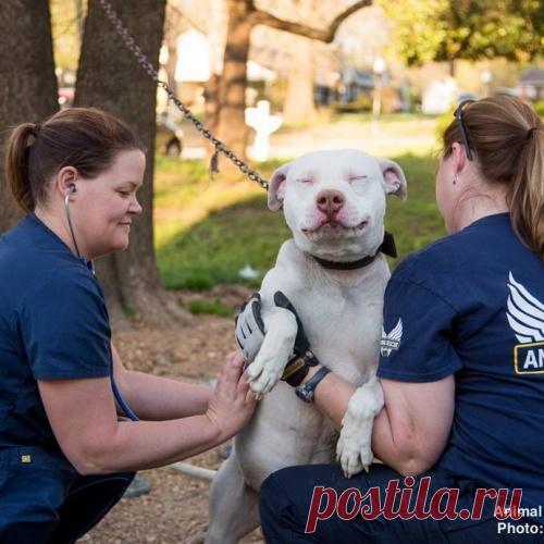 Тот самый момент, когда он осознал, что спасен!