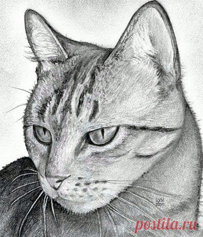 ​Рисуем кота Рисуем котаКот хоть и нарисован простым карандашом, но кажется практически живым.Творите и будьте счастливы, наши хорошие.