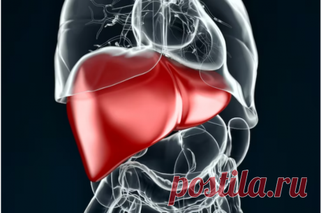 Народное средство для детоксикации печени и профилактики гепатоза: эффект удивительный