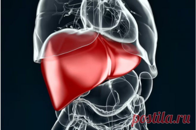 Народное средство для детоксикации печени и профилактики гепатоза: эффект удивительный