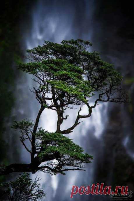 Фото – Google+