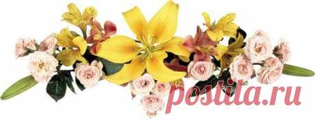 Вслед за мудростью китайца
Модно стало у славян
С умным видом потрепаться
Меж собой про «Инь» и «Ян»
Я в науке той дуб дубом,
Чужды мне враньё и лесть
Расскажу, быть может грубо,
Но зато всё так, как есть.
Чтобы было всё курчаво,
Я сказал бы (как не спец),
Что для женского начала
Должен быть мужской конец.
Разговор быть может длинный.
На хрена козе баян?
Просто всё – у каждой Инны
Должен быть свой личный Ян.
Различить их без «феншуя»
Смогут даже и юнцы.